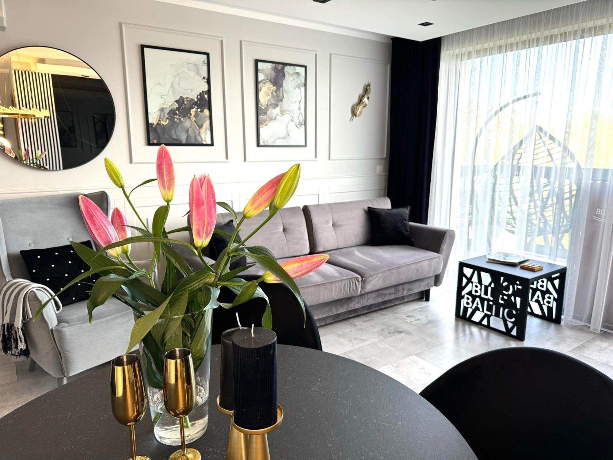 Blue Baltic Luksusowe Apartamenty Chlopy- Morze エクステリア 写真